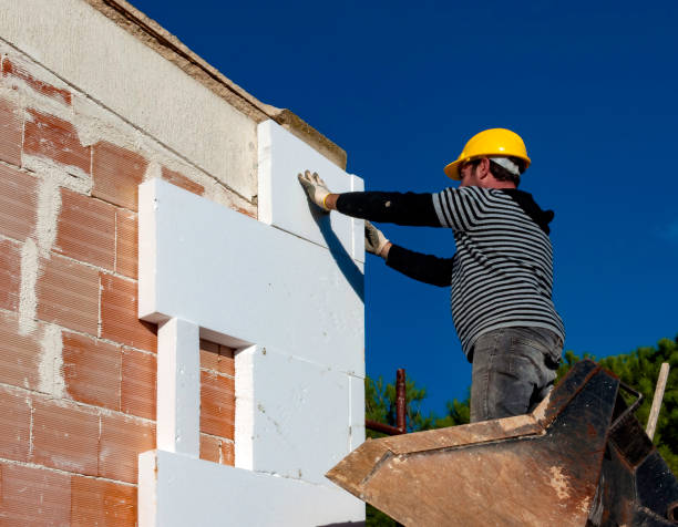 Best Residential Insulation in Clayton, GA