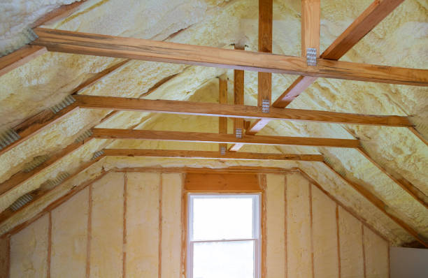 Best Residential Insulation in Clayton, GA