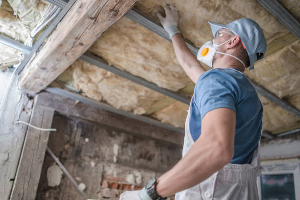 Professional Insulation Contractor in GA