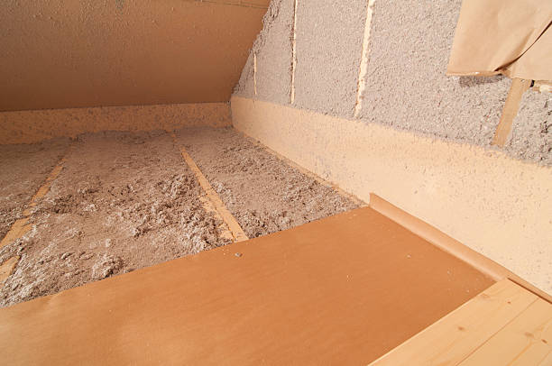 Best Insulation Maintenance and Repair in Clayton, GA